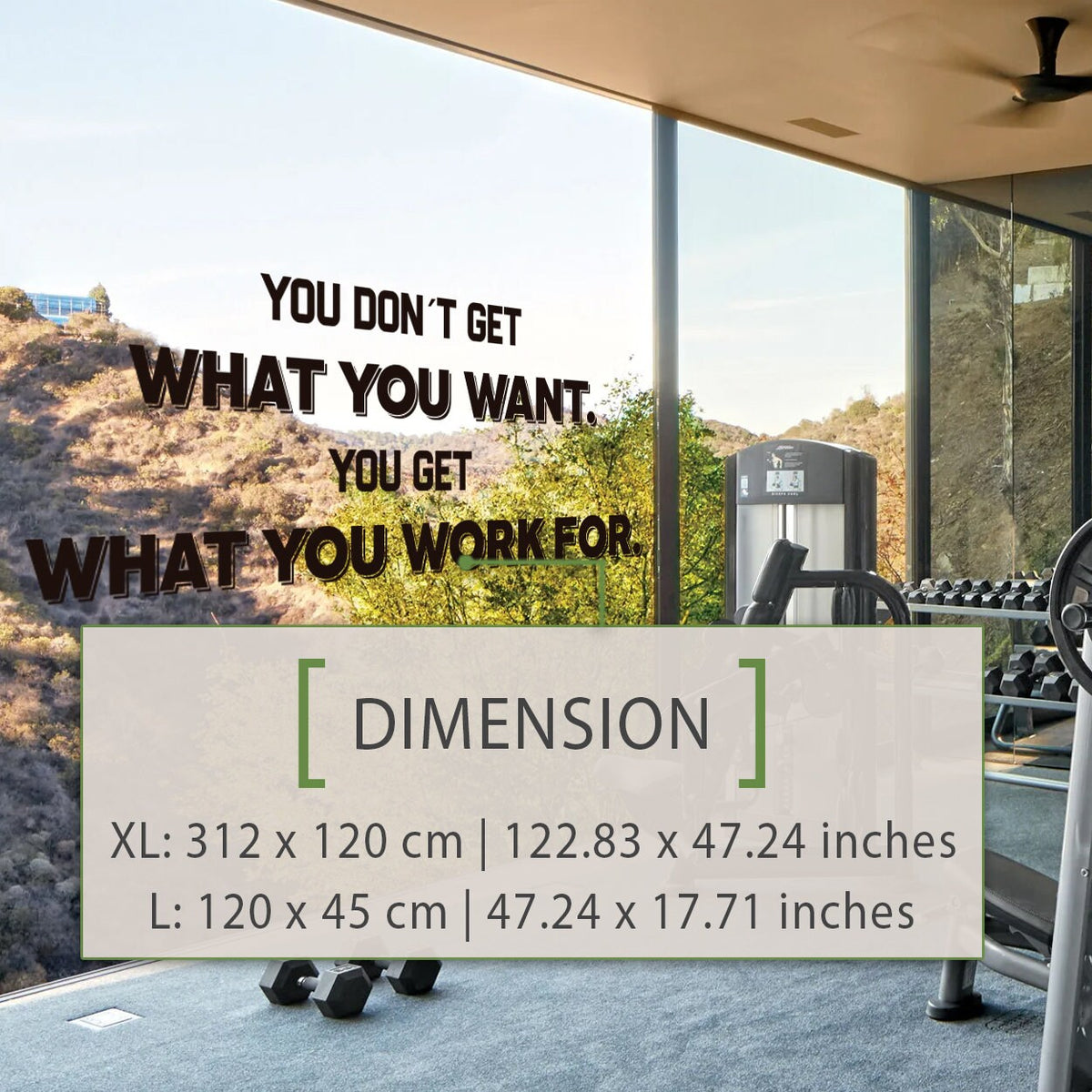 Motivational Quote Vinyl Wall Decal: Gym & Office Decor