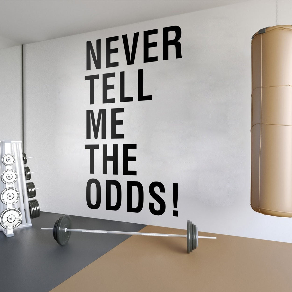 Never Tell Me The Odds Gym Wall Art