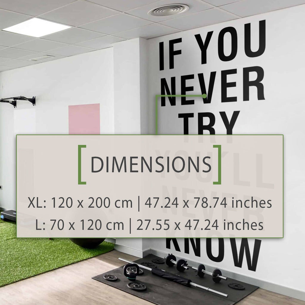 If You Never Try Youll Never Know Gym Wall Art Decor