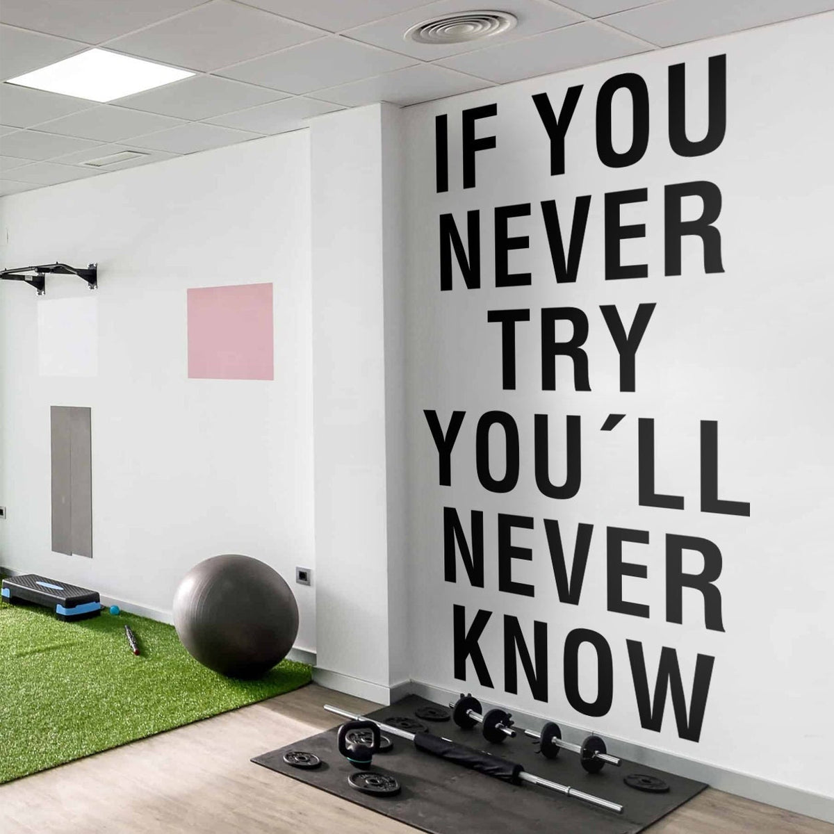 If You Never Try Youll Never Know Gym Wall Art Decor