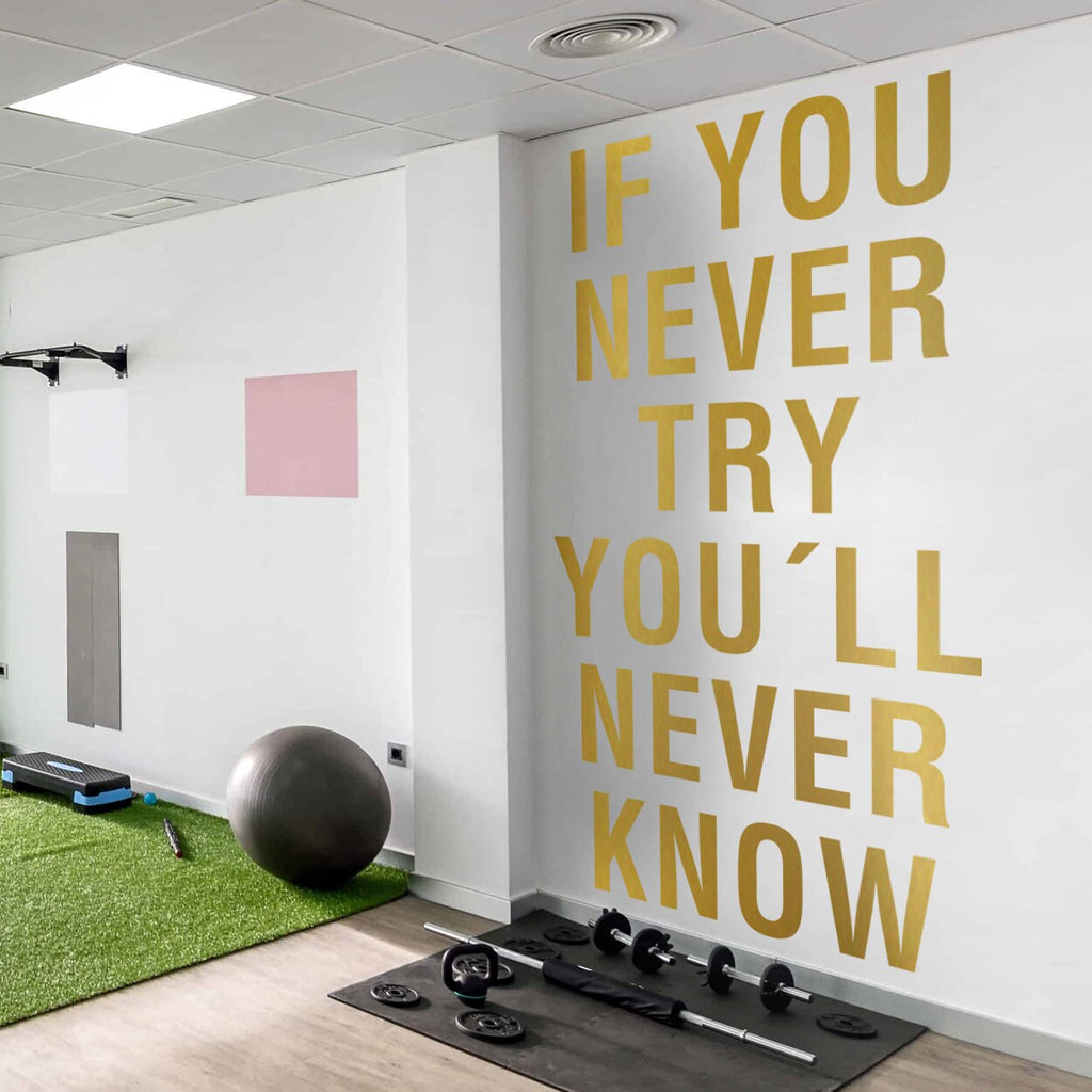 If You Never Try Youll Never Know Gym Wall Art Decor