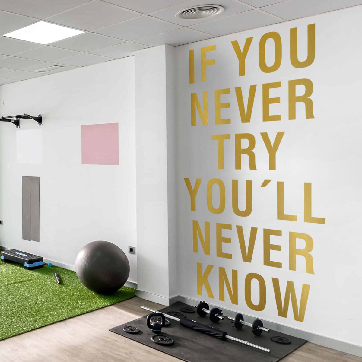 If You Never Try Youll Never Know Gym Wall Art Decor