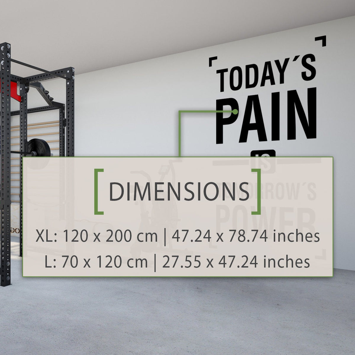 Todays Pain Is Tomorrows Power Gym Quotes Wall Art Adhesive Vinyl