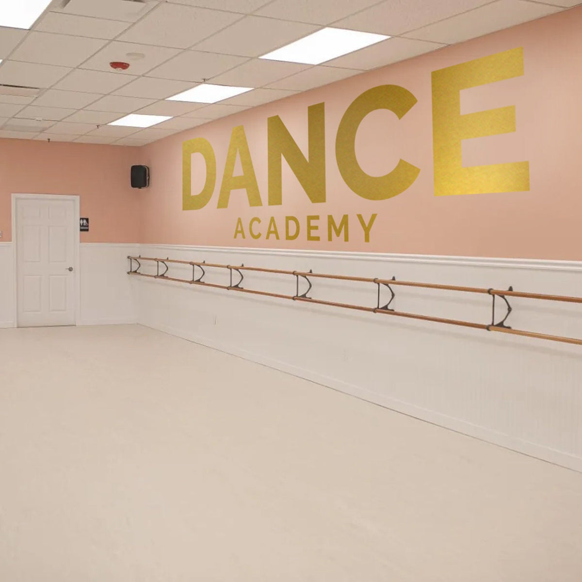 Dance Academy Wall Decal: Ballet, Jazz, Hip Hop Studio Decor