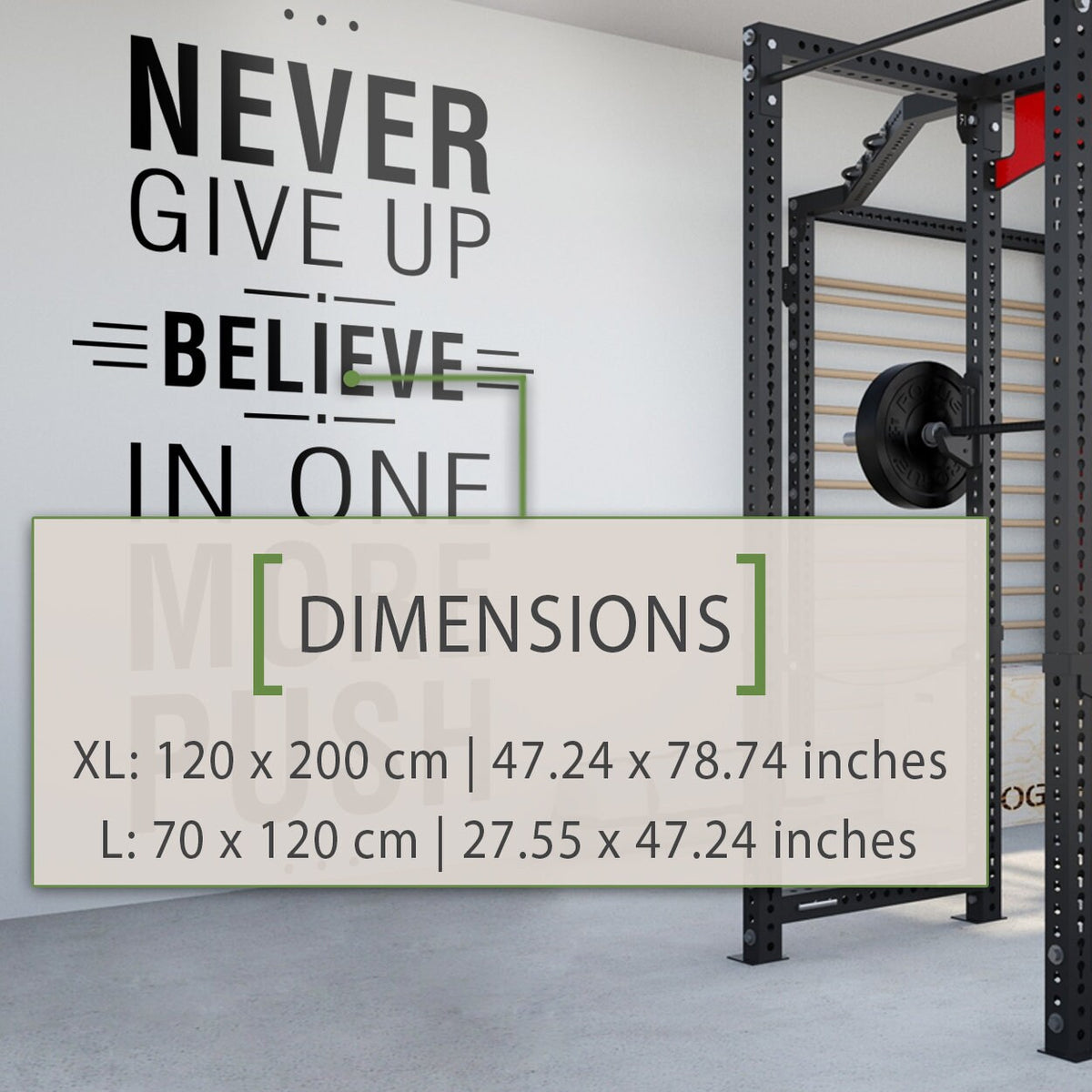 Never Give Up Vinyl Wall Decal: Motivational Gym Decor