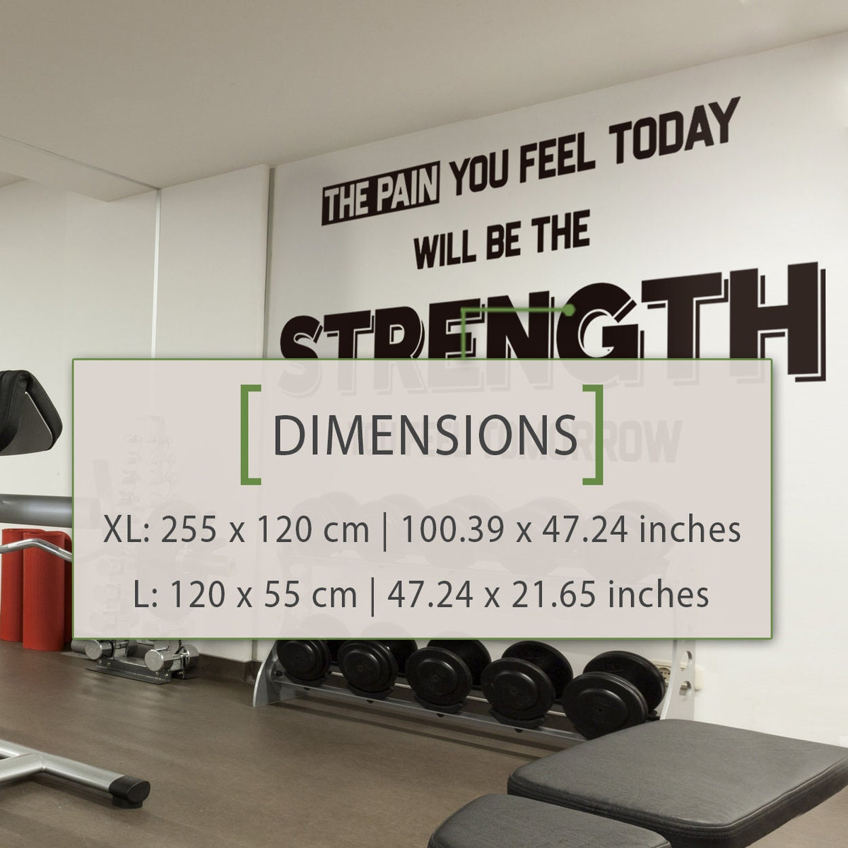 Strength Gym Wall Decal: Fitness Exercise Sticker