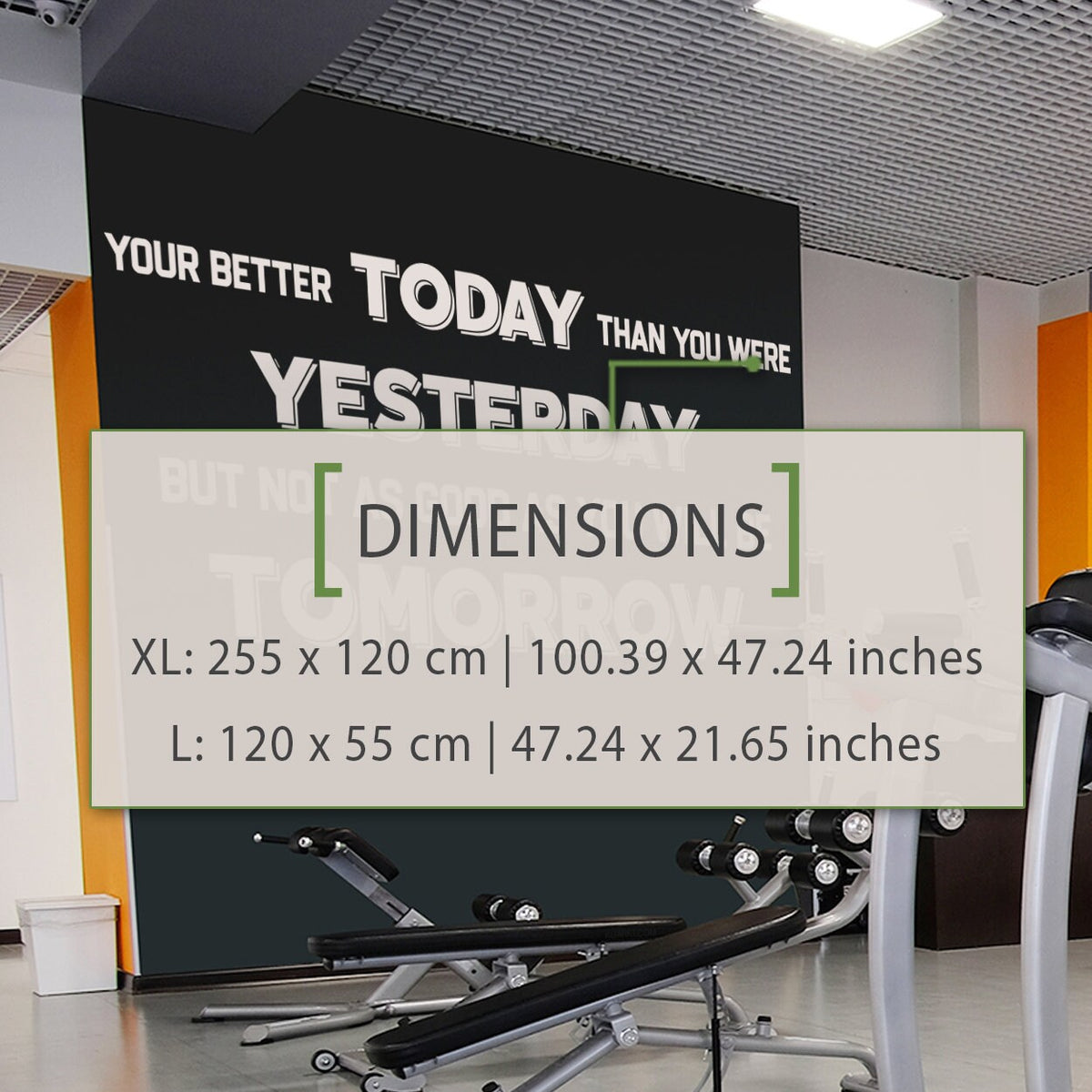 Gym Quote Wall Decal: Fitness Center Motivation