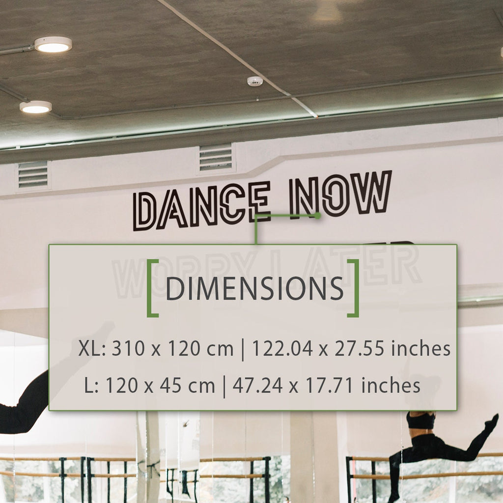 Dance Now Worry Later Wall Decal: Dance Studio Mirror Quote