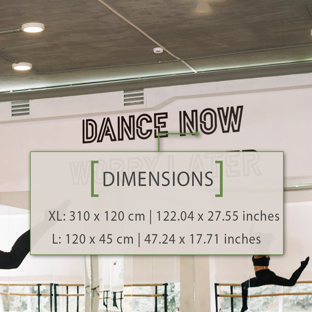 Dance Now Worry Later Wall Decal: Dance Studio Mirror Quote