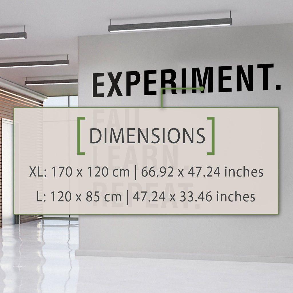 Experiment Fail Learn Repeat - Office Wall Decal