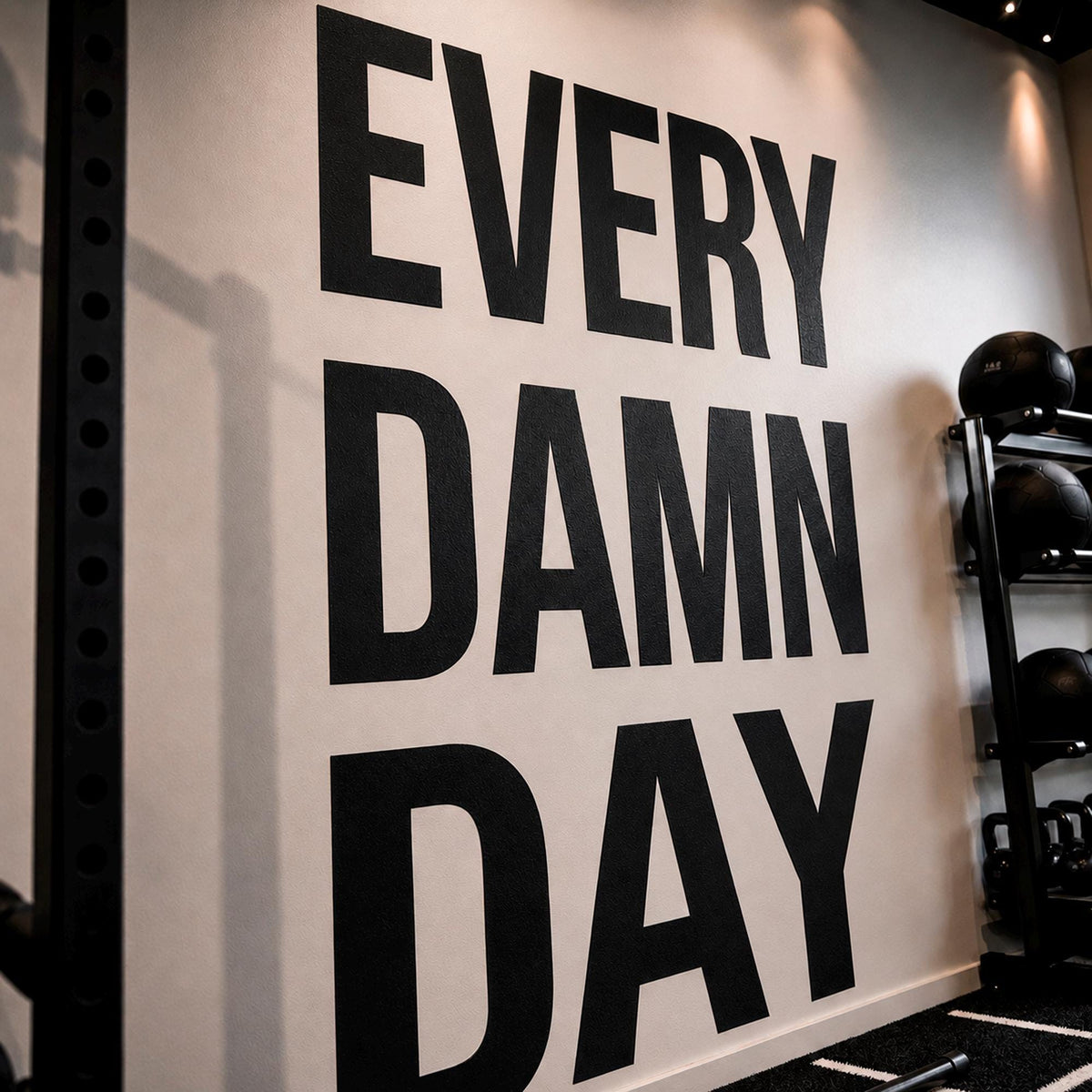 Every Damn Day Gym Wall Decal, Motivational Fitness Quote Sticker, Home Gym Decor, Workout Wall Art, Removable Vinyl Mural