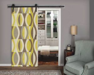 Mid Century Classic Closet Door