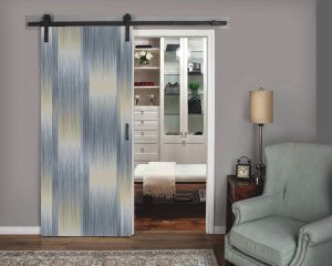 Modern Closet Door