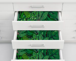 Tropic Illustration - Inside Drawer