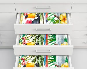 Tropical Animals - Inside Drawer