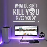 What Doesnt Kill You Gives You XP Wall Decal
