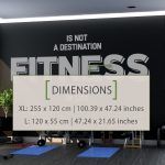 Fitness Quote Wall Sticker - Dimensions